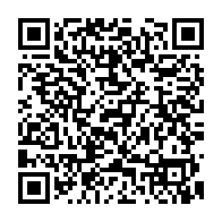 嘉義新港奉天宮大面寬建地-QR CODE