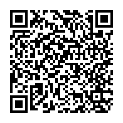 二林柳子溝段臨東螺溪雙面路美田-QR CODE