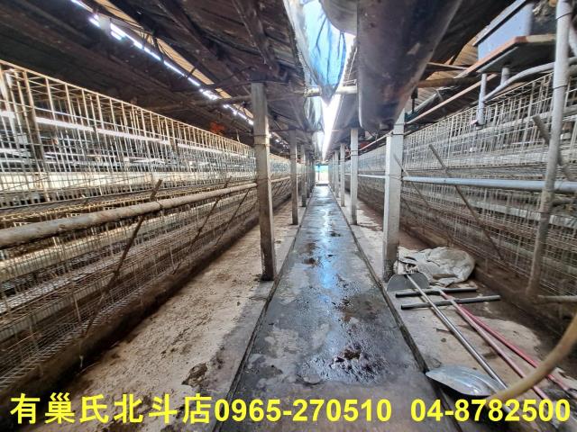 彰化北斗農舍-12