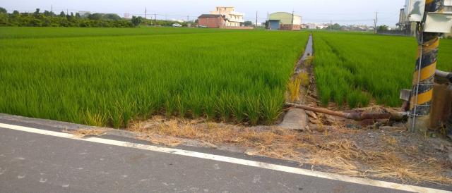 彰化埤頭農地-3