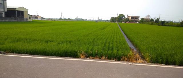 彰化埤頭農地-5