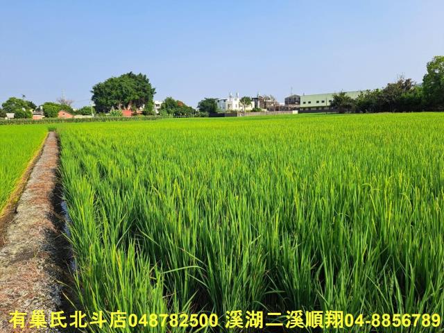 彰化埤頭農地-3