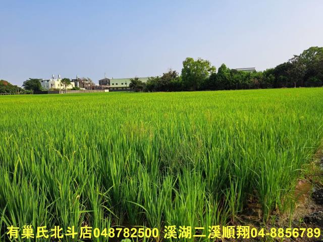 彰化埤頭農地-4