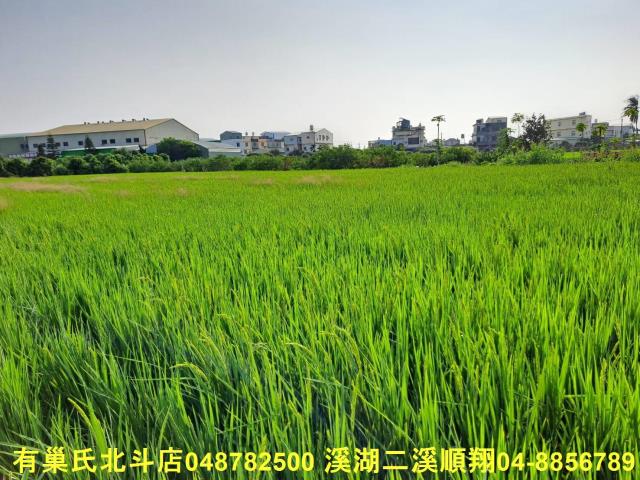 彰化埤頭農地-5
