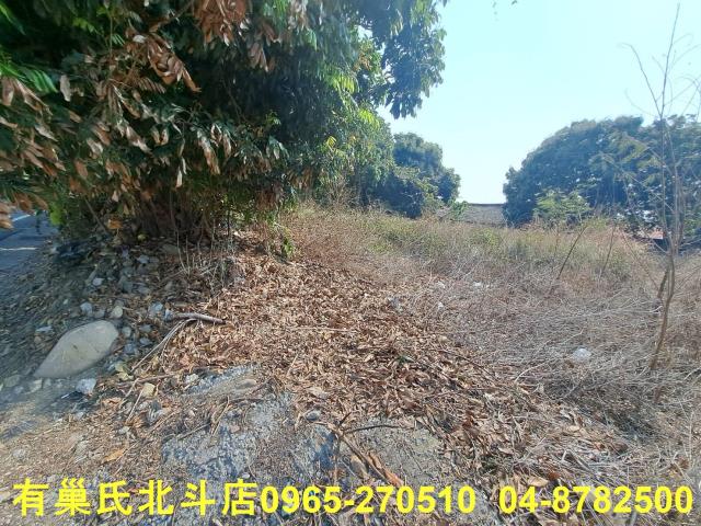 二水建地-0
