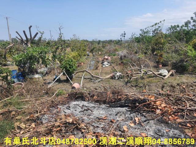 彰化農地-0