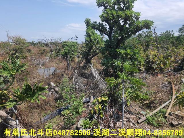 彰化農地-1