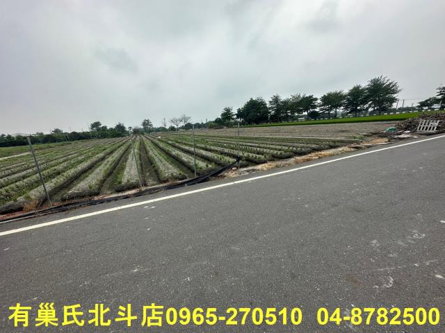 彰化田尾農地-2