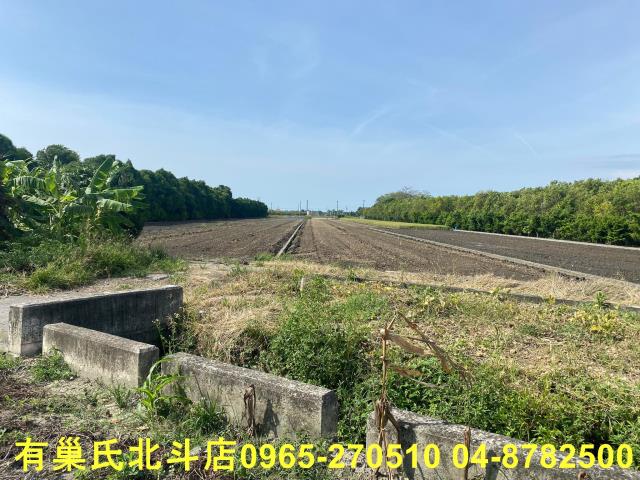 溪州農地-3