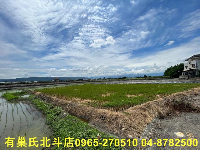 彰化溪州農地-3