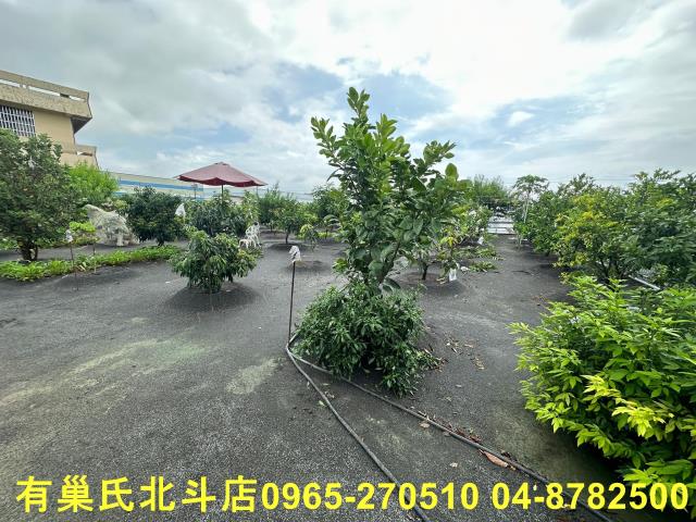 彰化大村農地-9