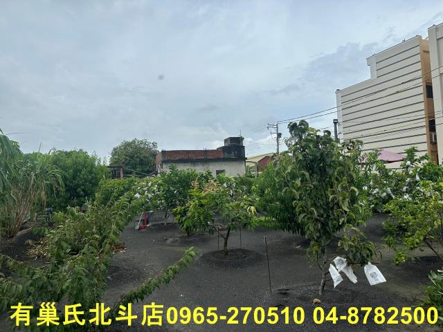 彰化大村農地-2
