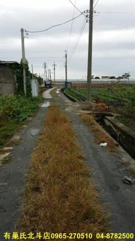 田中農地-4