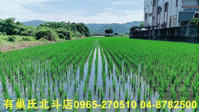 彰化田中農地-0
