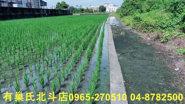 彰化田中農地-2