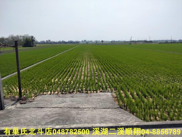 彰化埤頭農地-6