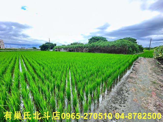 溪湖農地-9
