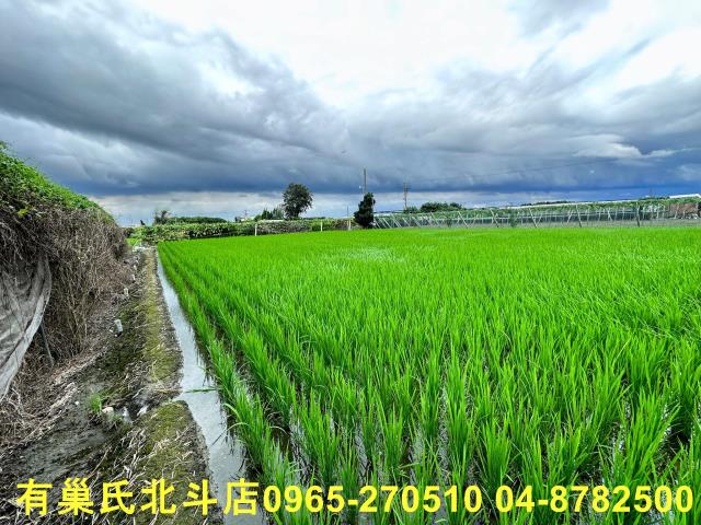 溪湖農地-3