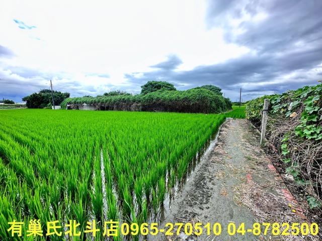 溪湖農地-6