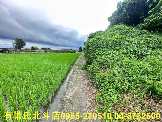 溪湖農地-8