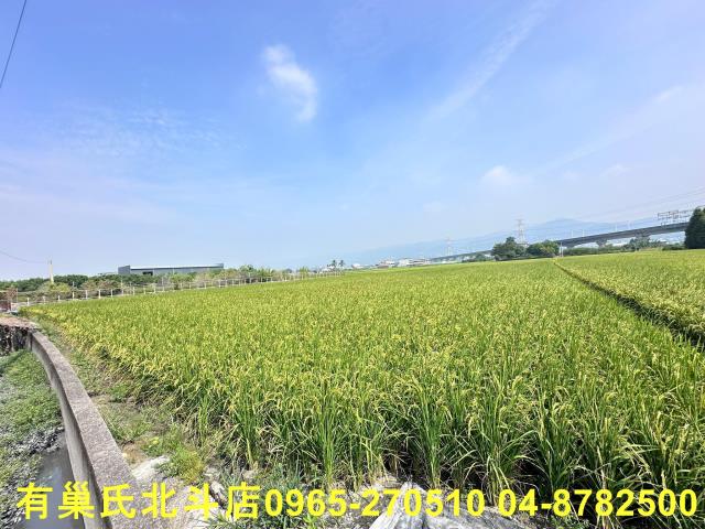 彰化社頭農地-0