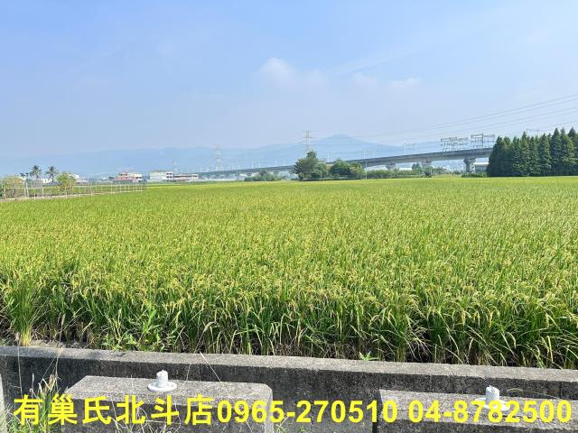 彰化社頭農地-6