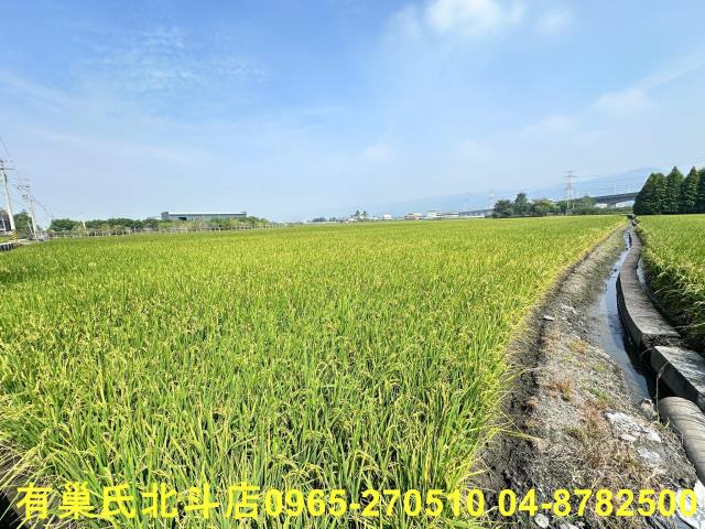 彰化社頭農地-7