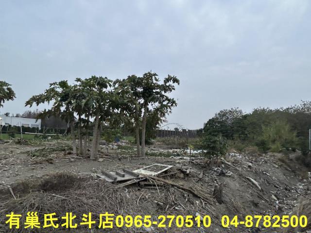 彰化埔心農地-2