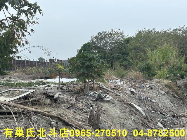 彰化埔心農地-3