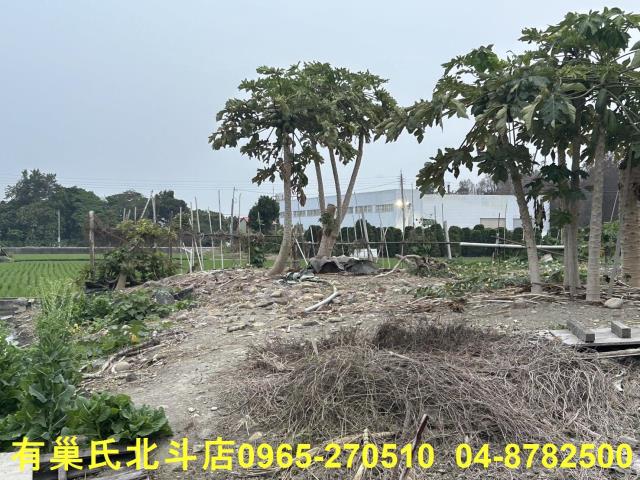 彰化埔心農地-5