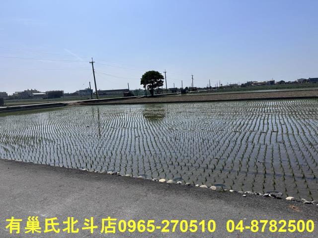 埔鹽農地-0