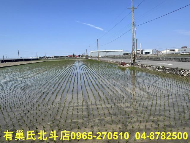 埔鹽農地-1