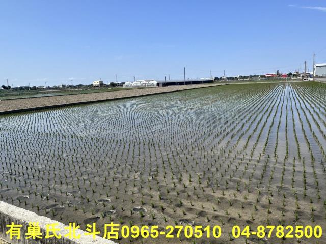 埔鹽農地-3