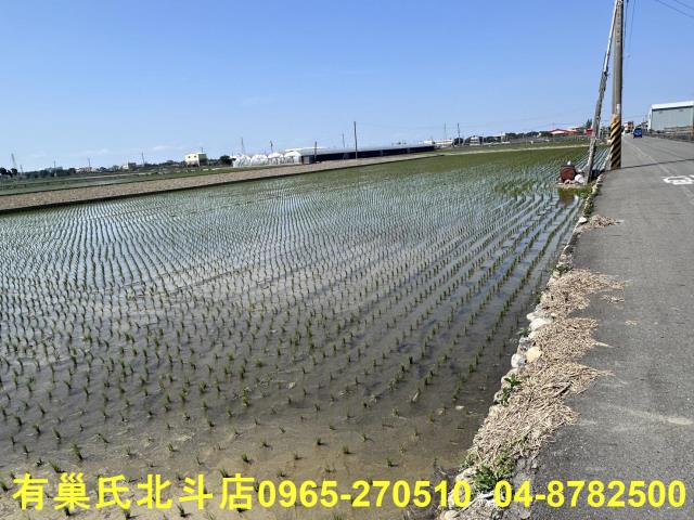 埔鹽農地-5