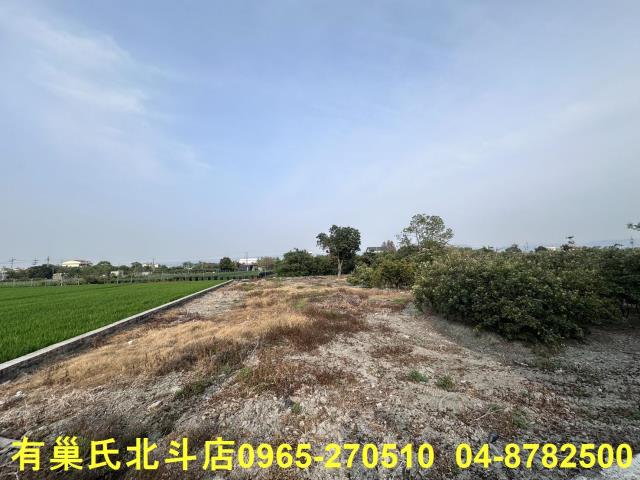 永靖農地-5