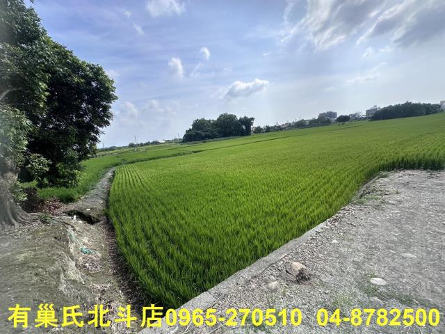 田中農地-0