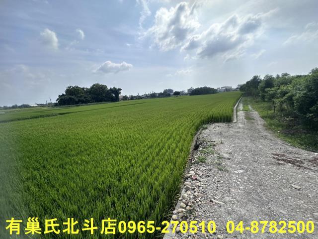 田中農地-8