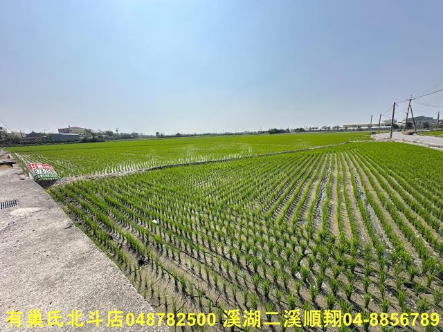 二林農地-2