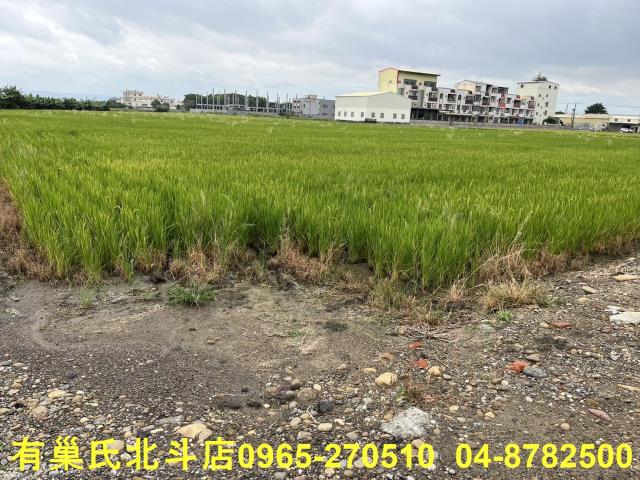 埔鹽農地-1