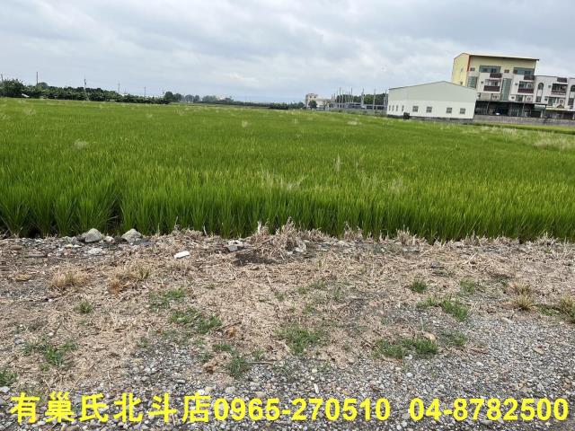 埔鹽農地-5