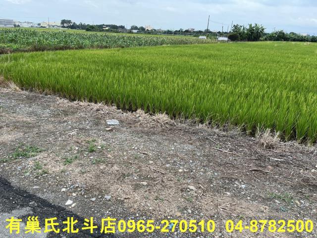 埔鹽農地-6