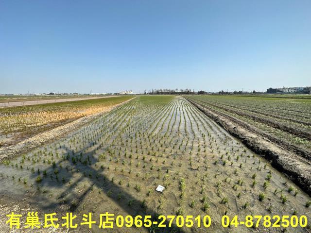 彰化農地-4