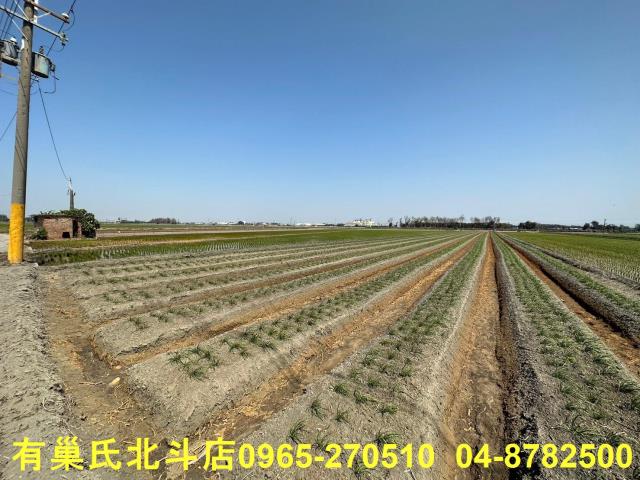 彰化農地-5
