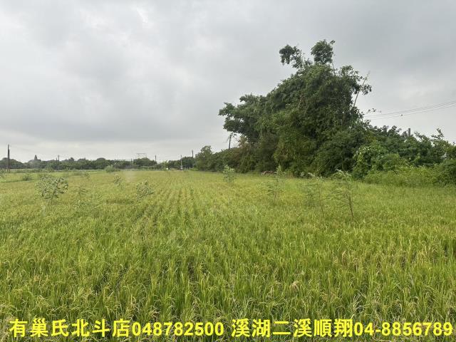 彰化福興農地-2