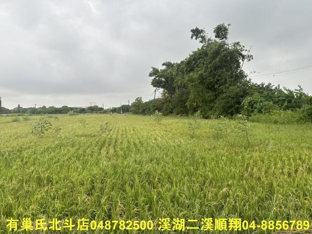 彰化福興農地-3