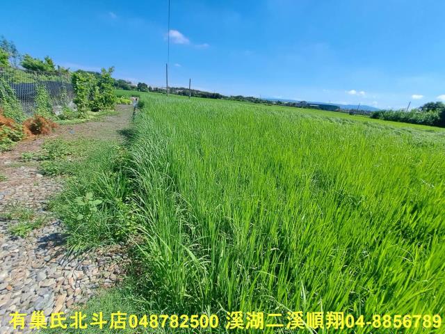 北斗農地-5
