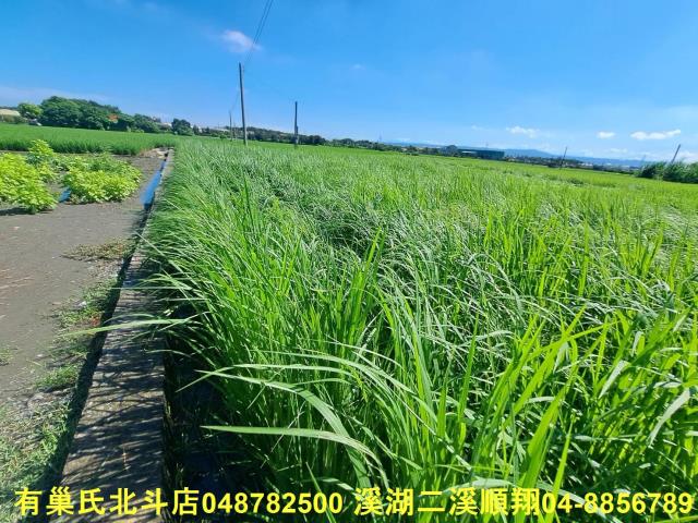 北斗農地-6