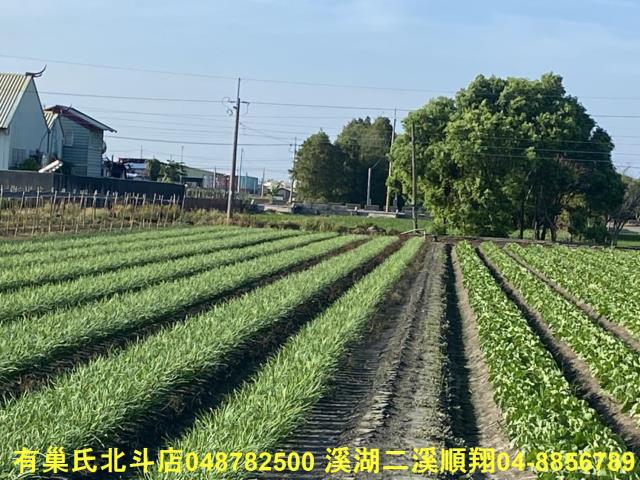 埤頭農地-0
