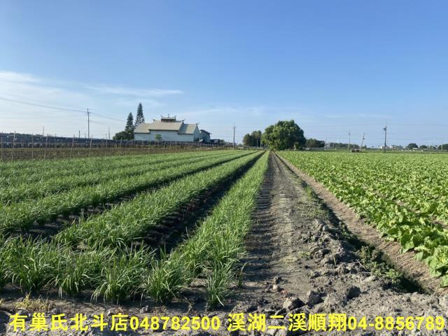 埤頭農地-2