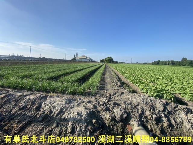 埤頭農地-3